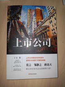 上市公司（中国专业作家作品典藏文库.丁力卷）
