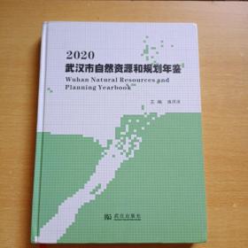 2020武汉市自然资源和规划年鉴