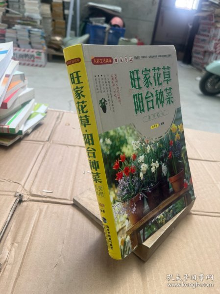 大彩生活读库：旺家花草、阳台种菜实用百科