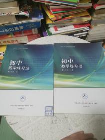 中国人民大学附属中学学生用书 初中数学练习册（七年级 上下） 内有笔记，书后答案被撕！