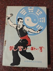 武当八卦掌 费隐涛 费玉樑 江苏科学技术出版社 85年 85品 12