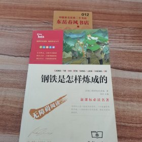 钢铁是怎样炼成的