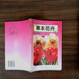草本花卉