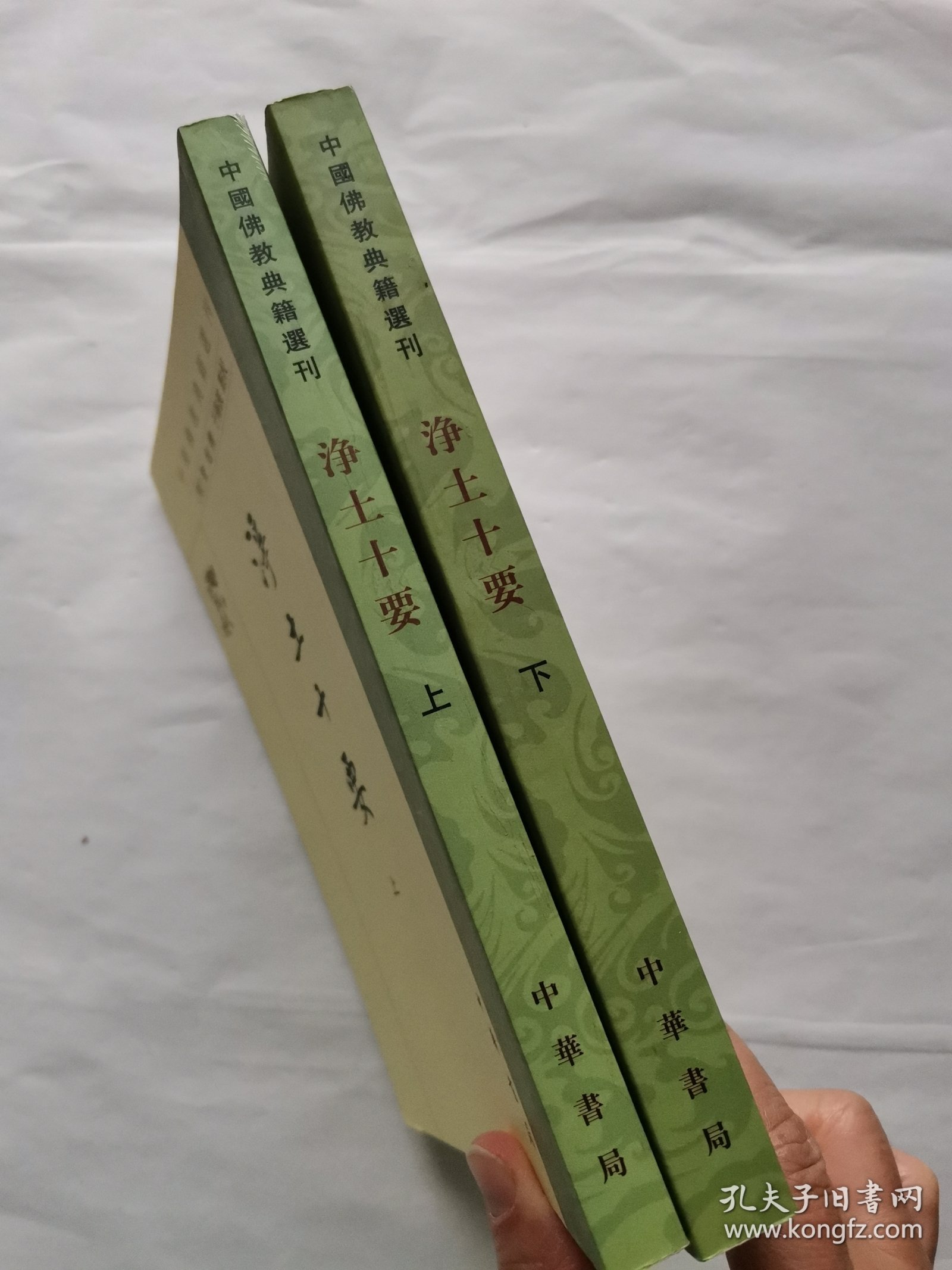 浄土十要（上下册）中国佛教典籍选刊