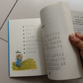 拼音王国·名家经典书系3：小小的故事