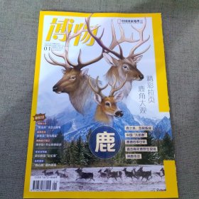 博物杂志 2024年第1期 鹿