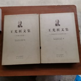 王光祈文集（4时政文化卷和5中国迁代外交史料译文卷）