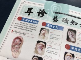 观耳诊病挂图/中医望诊系列挂图