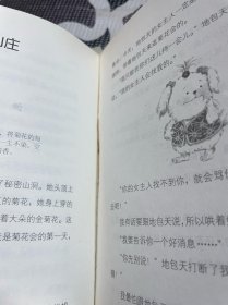 笑猫日记13：绿狗山庄