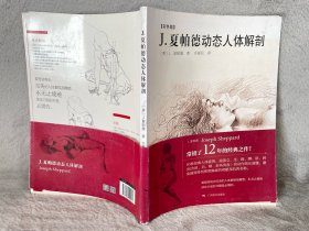 J.夏帕德动态人体解剖：彩色版