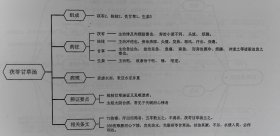 共172方的《伤寒金匮方剂》思维导图，