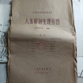 人体解剖生理挂图(全12幅)