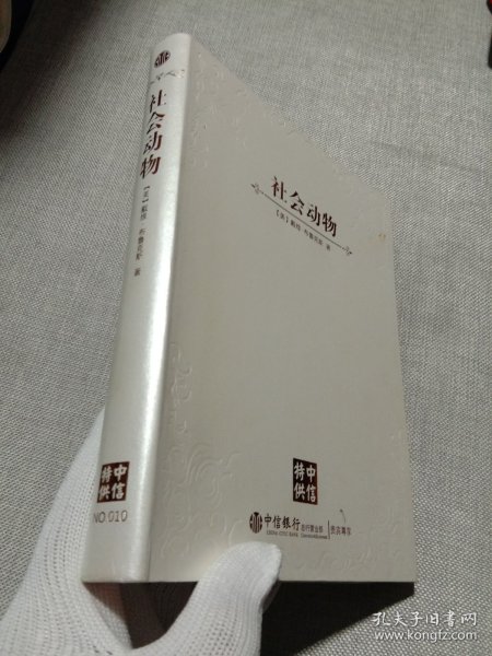 社会动物：爱、性格和成就的潜在根源