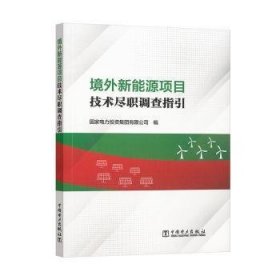 境外新能源项目技术尽职调查指引