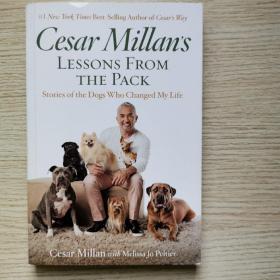 Cesar Millan's Lessons From the Pack Ten Inspir