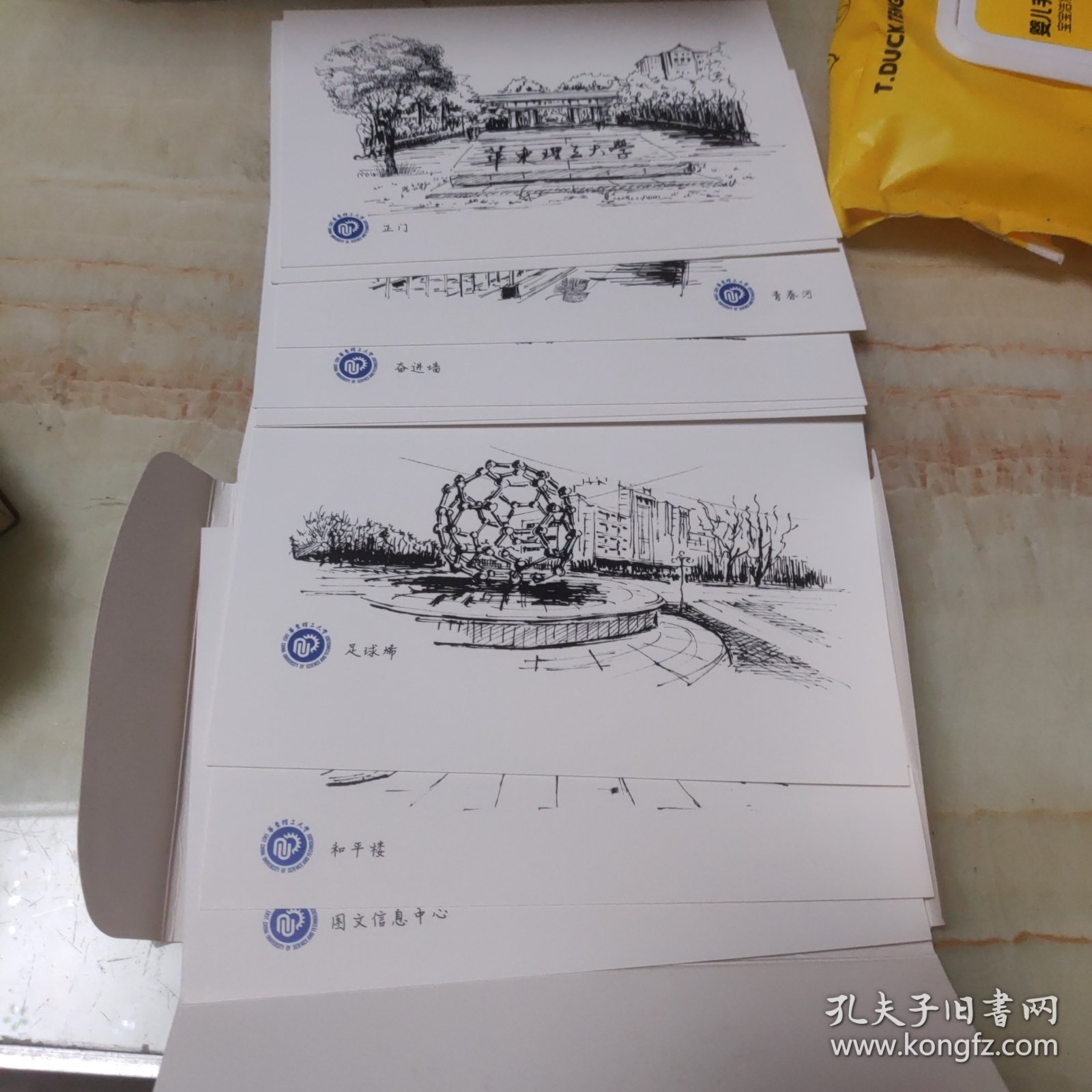 华东理工大学钢笔画明信片。