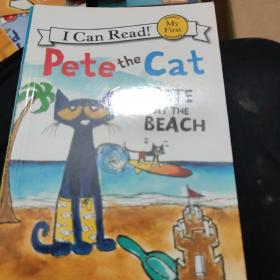 Pete the Cat: Pete at the Beach