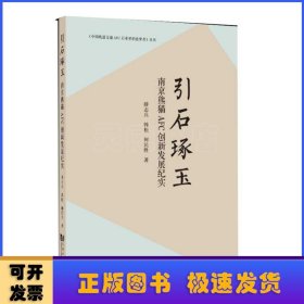 引石琢玉:南京熊猫AFC创新发展纪实