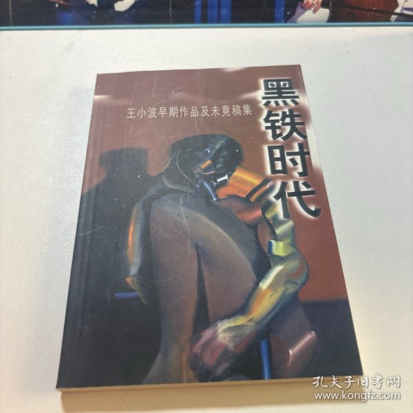 黑铁时代：王小波早期作品及未竟稿集