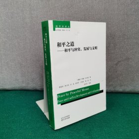 和平之道 : 和平与冲突、发展与文明