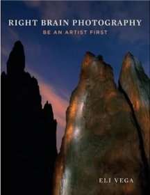 价可议 Right Brain Photography Be an Artist First twdzxdzx