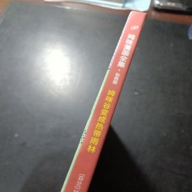 姆咪谷变成热带雨林（姆咪漫画全集：精装彩色版）（国际安徒生奖获得者、《魔法师的帽子》作者托芙·扬松）