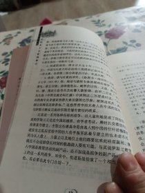 伊斯兰文化与中国本土文化的整合