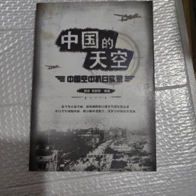 中国的天空：中国空中抗日实录