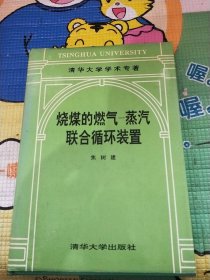 烧煤的燃气-蒸汽联合循环装置