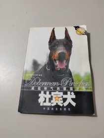 杜宾犬