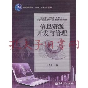 信息资源开发与管理/普通高等教育“十一五”国家级规划教材·高等学校信息管理与信息系统专业系列教材