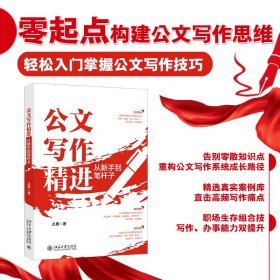全新正版现货 公文写作精进：从新手到笔杆子 9787301359464 丛勇 著 北京大学出版社