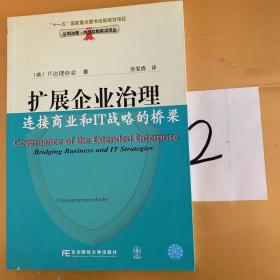 扩展企业治理：连接商业和IT战略的桥梁