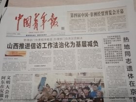 中国青年报2025年6月13日 当天版面齐全