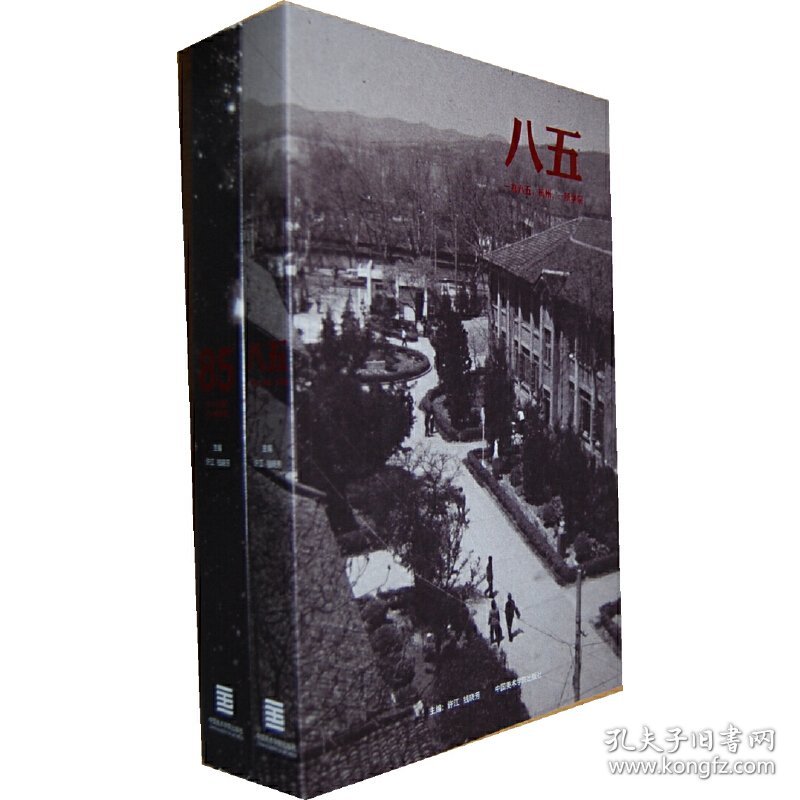 八五85(共2册) 9787550305571 许江//钱晓芳 中国美术学院