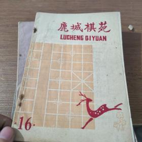 鹿城棋苑16