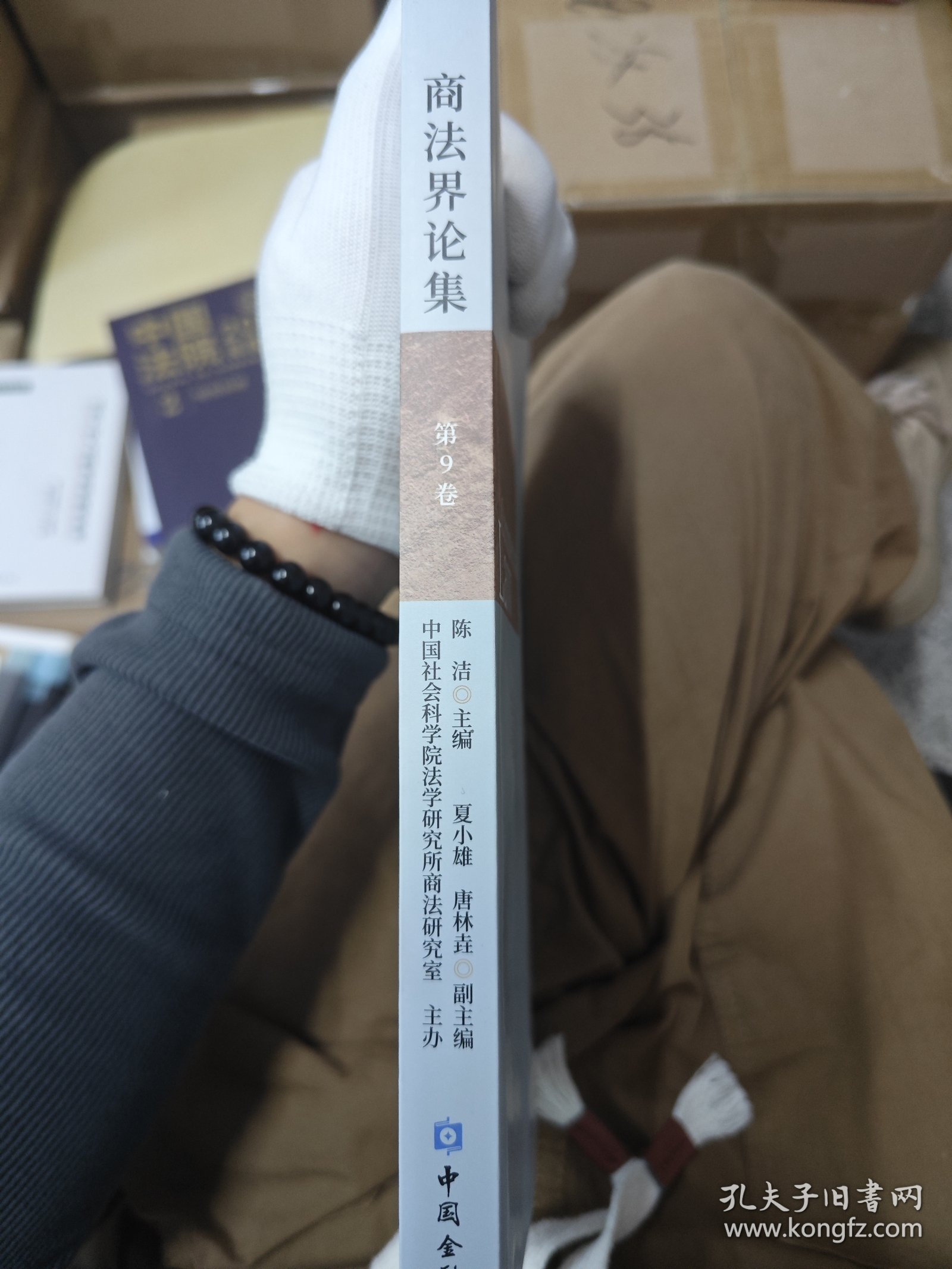 商法界论集(第9卷)