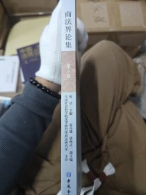 商法界论集(第9卷)