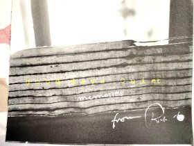 Robert Frank Good Days Quiet 罗