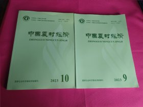 中国农村经济（2022年9.10期）