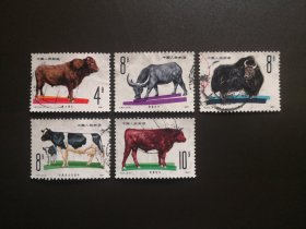 T63 畜牧业—牛（5枚合售）-信销邮票