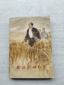 《南泥湾的故事》