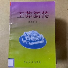 王莽新传