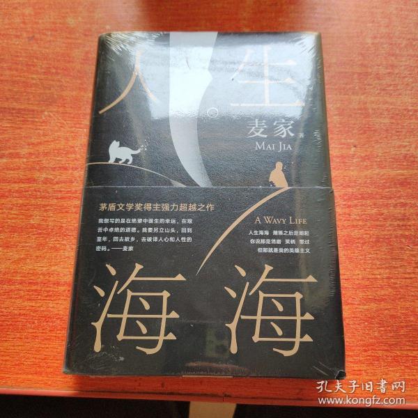 麦家：人生海海（茅盾文学奖得主麦家2019年强力之作）