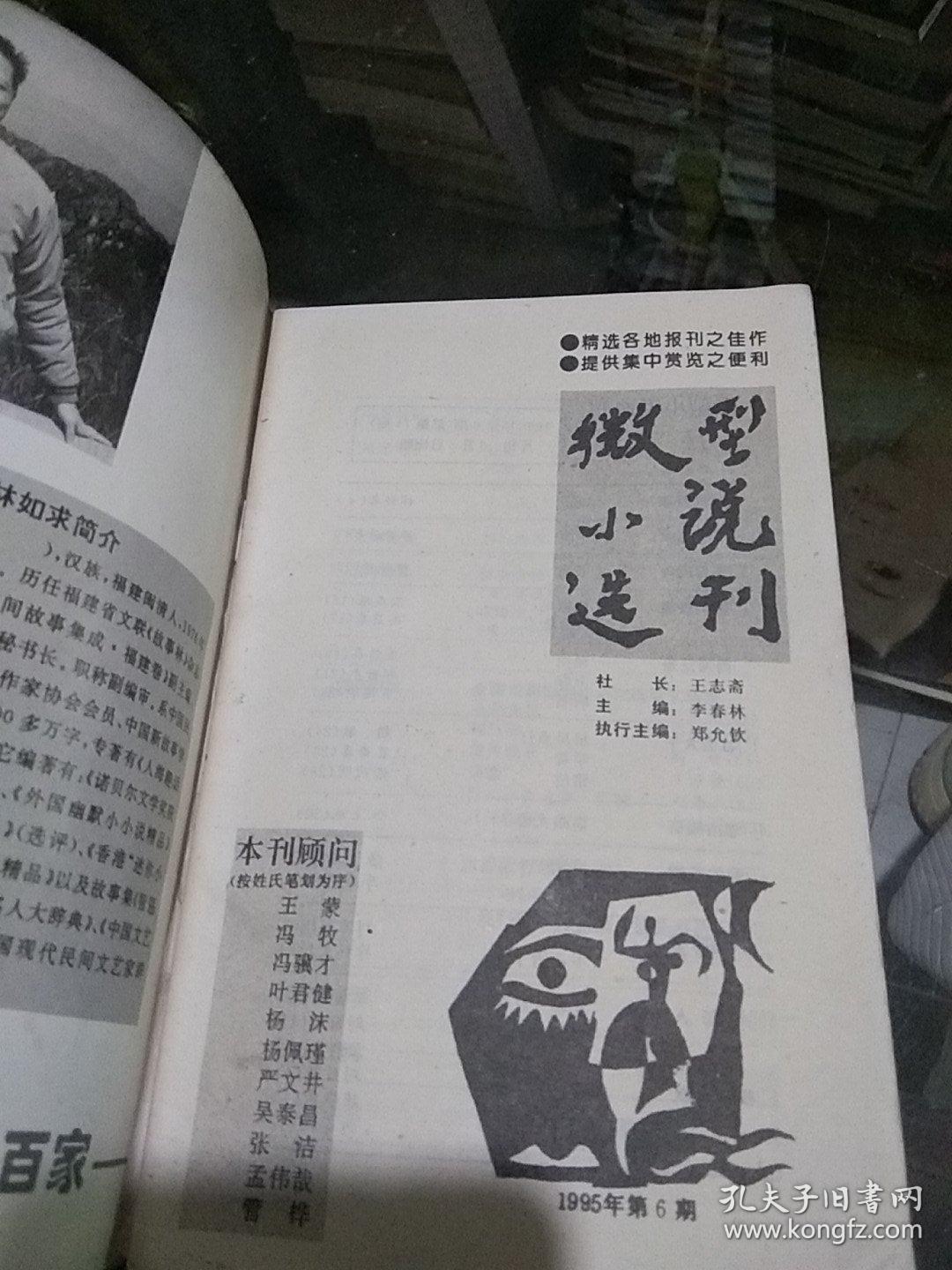 微型小说选刊1995.6