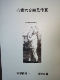 心意六合拳意传真53版