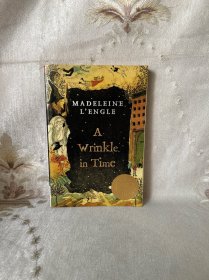 A Wrinkle in Time