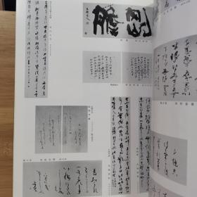 日本原版书法书  第24回 日展图录 书法