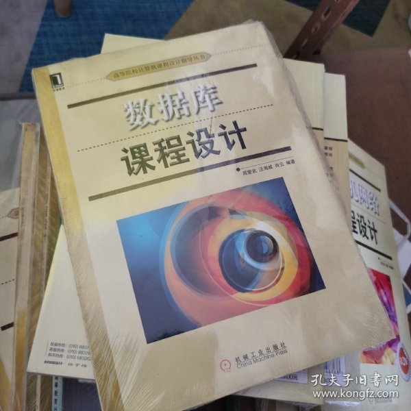 高等院校计算机课程设计指导丛书：数据库课程设计