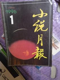 小说月报1996年1-12期